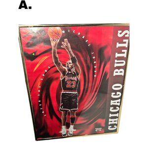 Framed Michael Jordan 1996 Basketball Team Poster Chicago Bulls Memorabilia